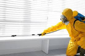 Best Termite Inspection and Treatment  in Hewitt, NJ